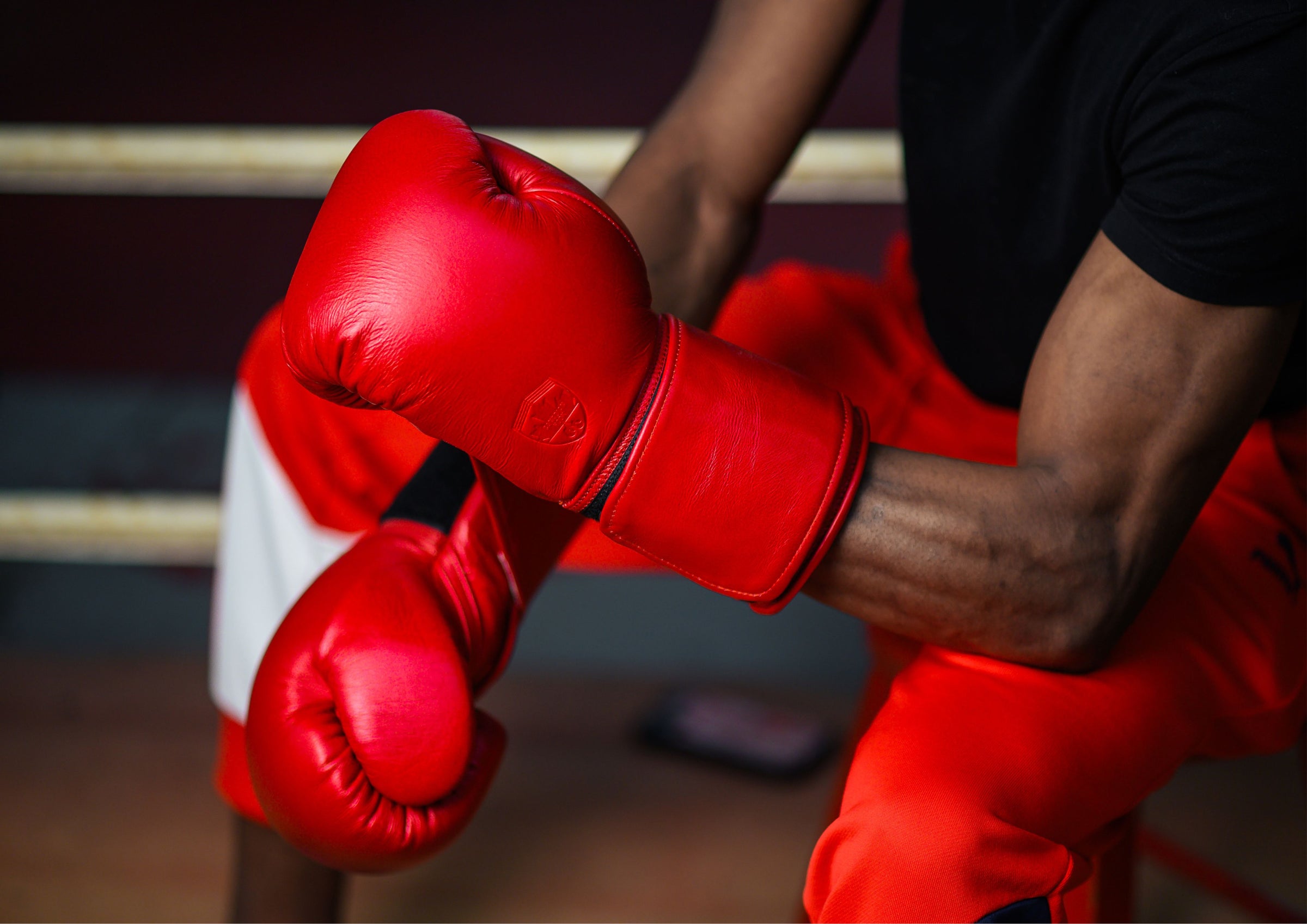 G12000 BOXING GLOVES