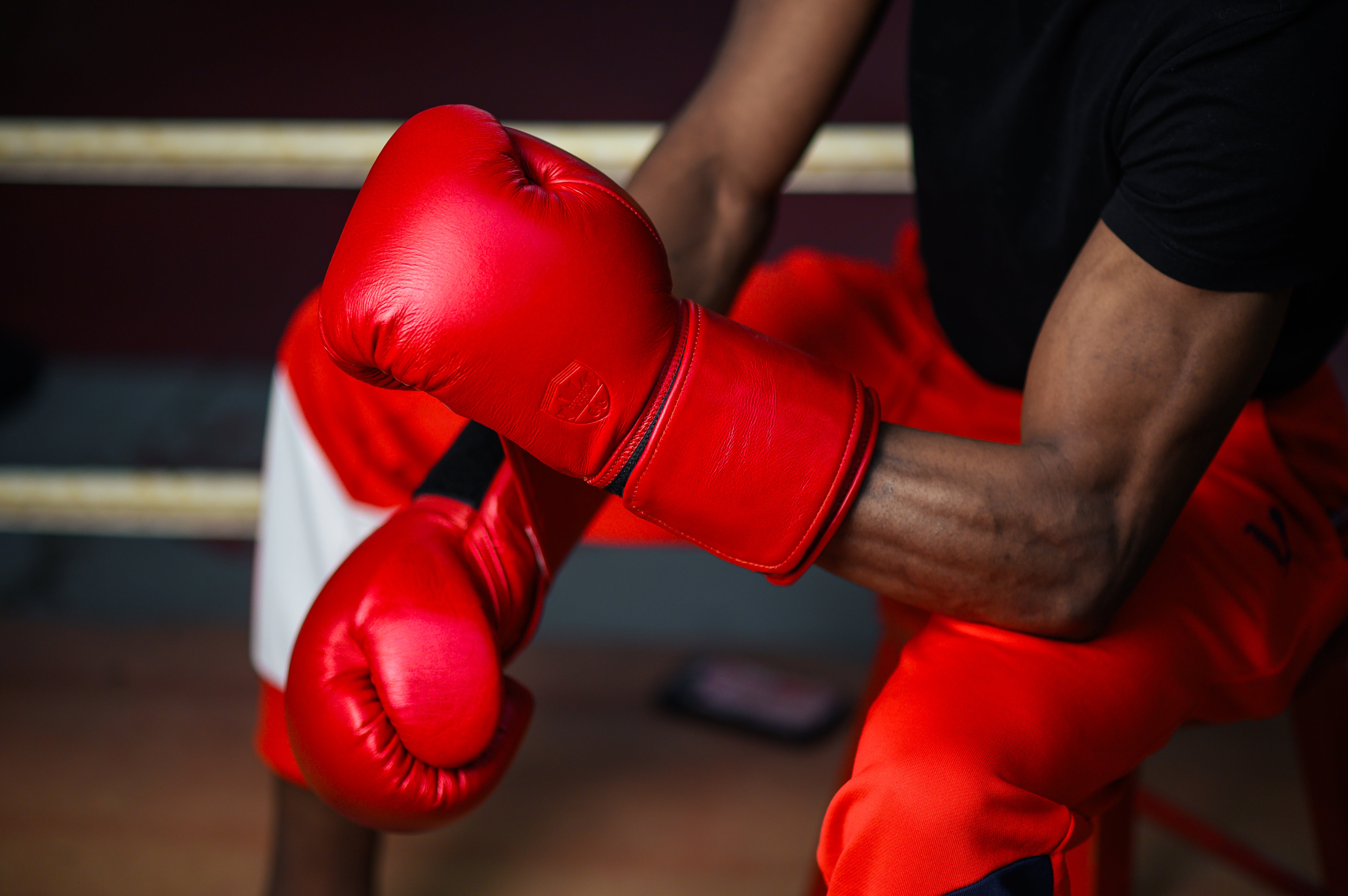 CANADIAN HOOK BOXING GLOVES