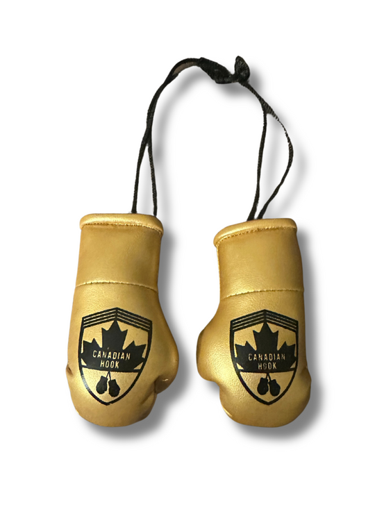 Canadian Hook Miniature Boxing Gloves