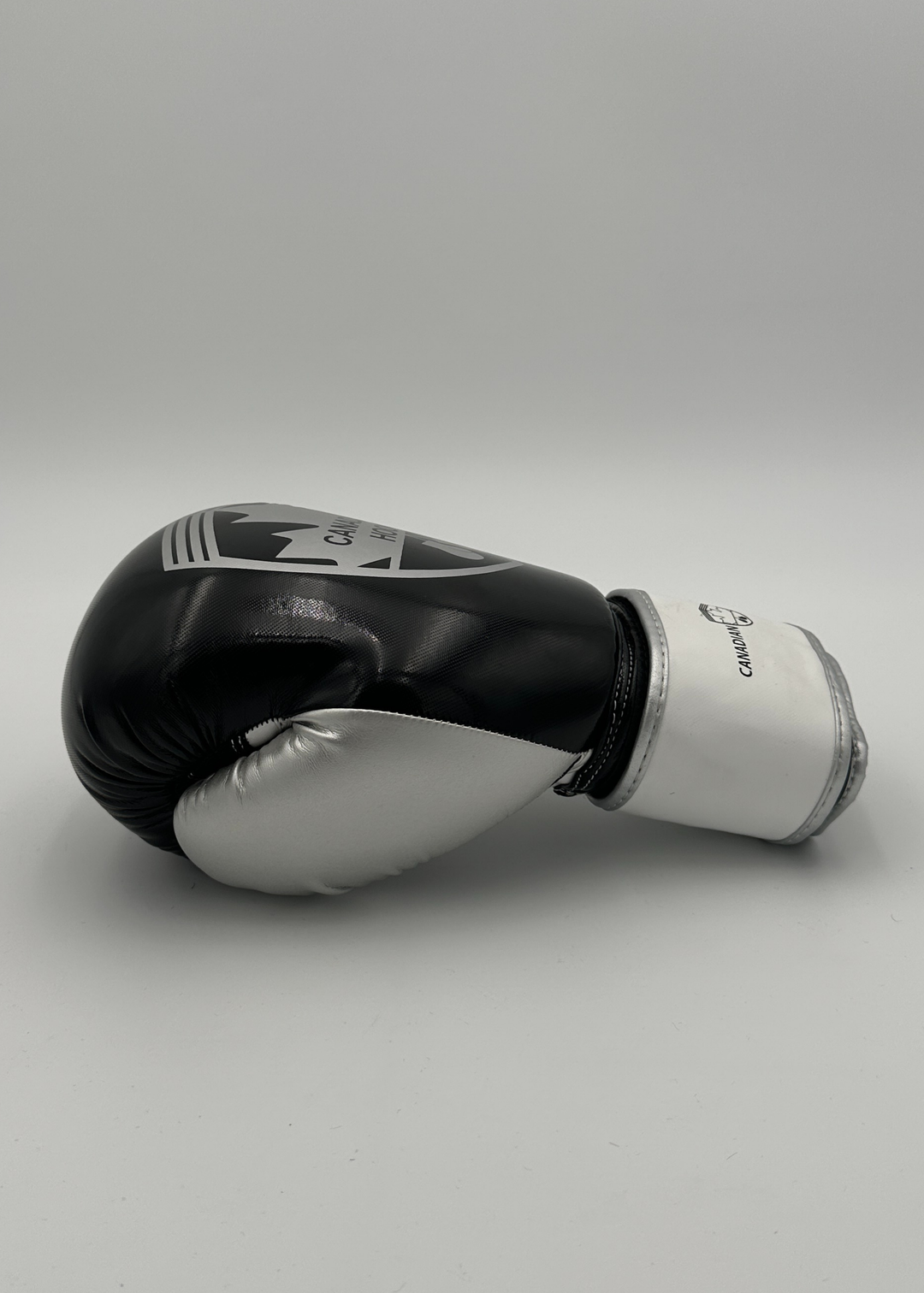 G2000 BOXING GLOVES - BLACK/SILVE/WHITE