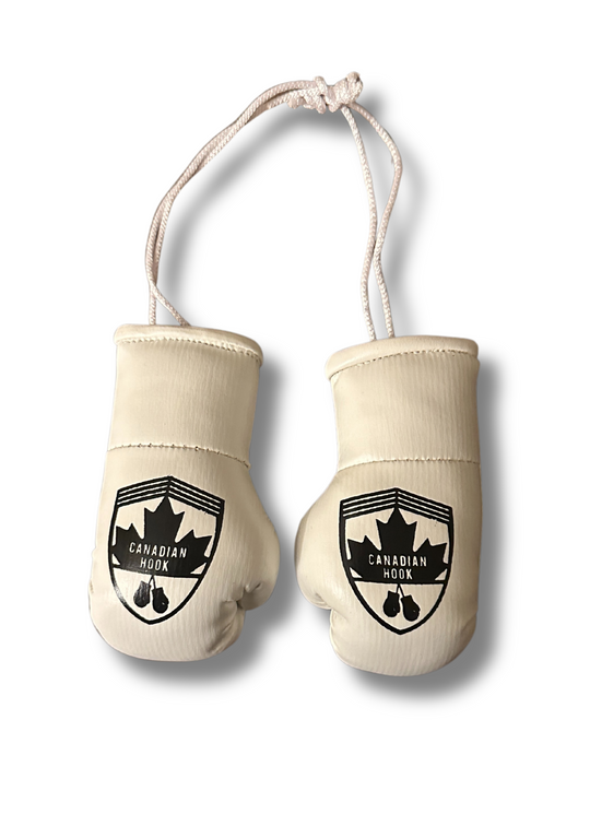 Canadian Hook Miniature Boxing Gloves