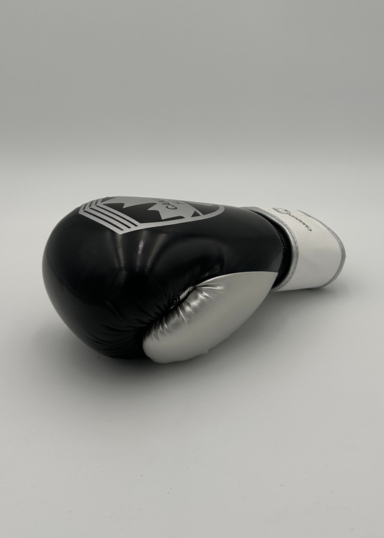 G2000 BOXING GLOVES - BLACK/SILVE/WHITE