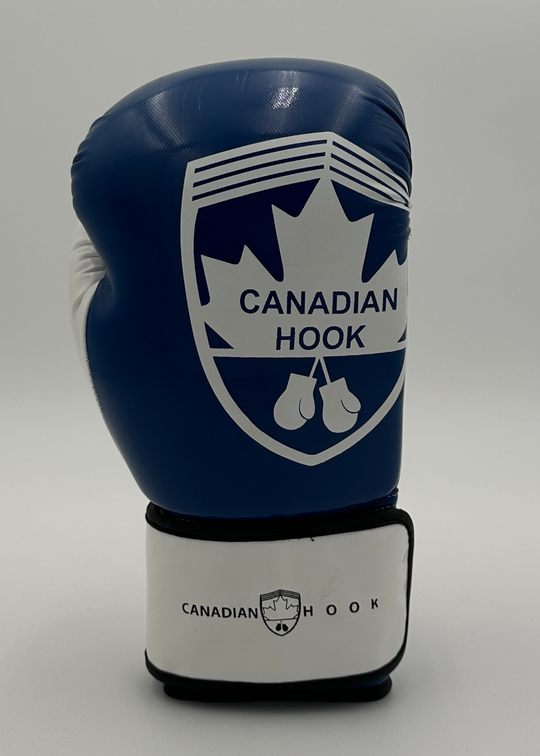 G2000 BOXING GLOVES - BLUE/WHITE