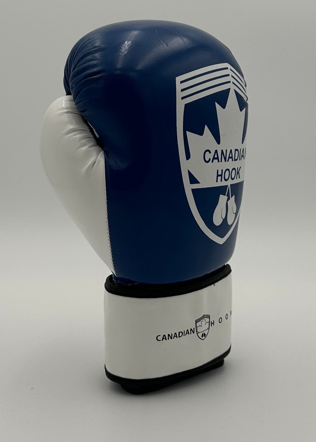 G2000 BOXING GLOVES - BLUE/WHITE