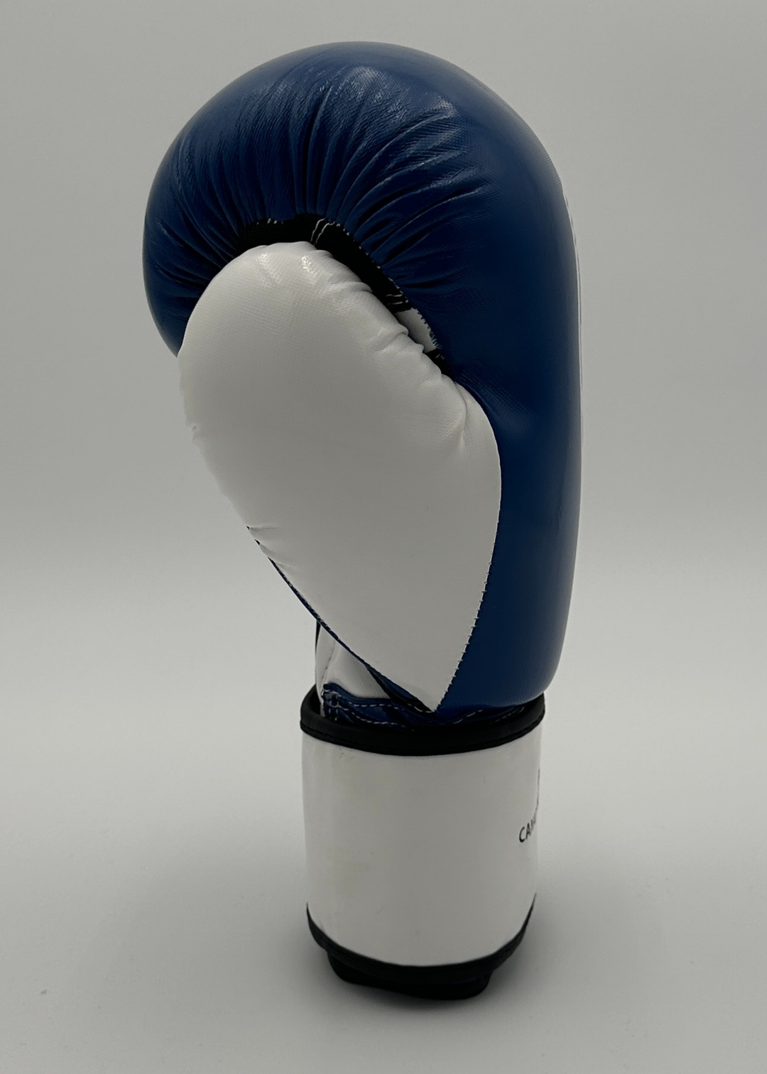 G2000 BOXING GLOVES - BLUE/WHITE