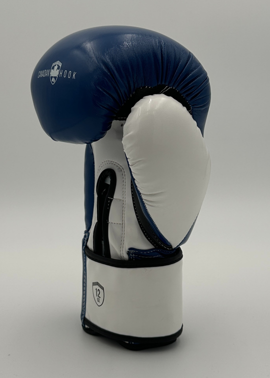 G2000 BOXING GLOVES - BLUE/WHITE