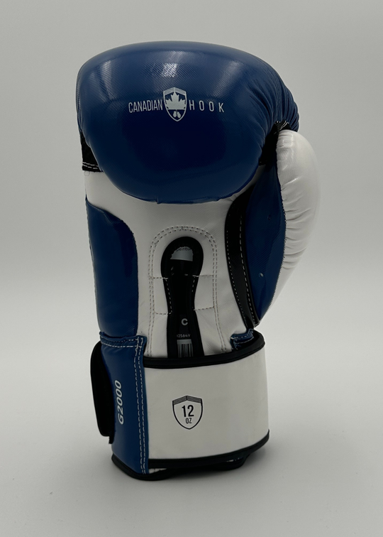 G2000 BOXING GLOVES - BLUE/WHITE