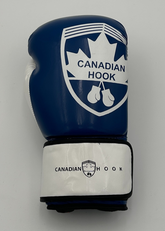 G2000 BOXING GLOVES - BLUE/WHITE