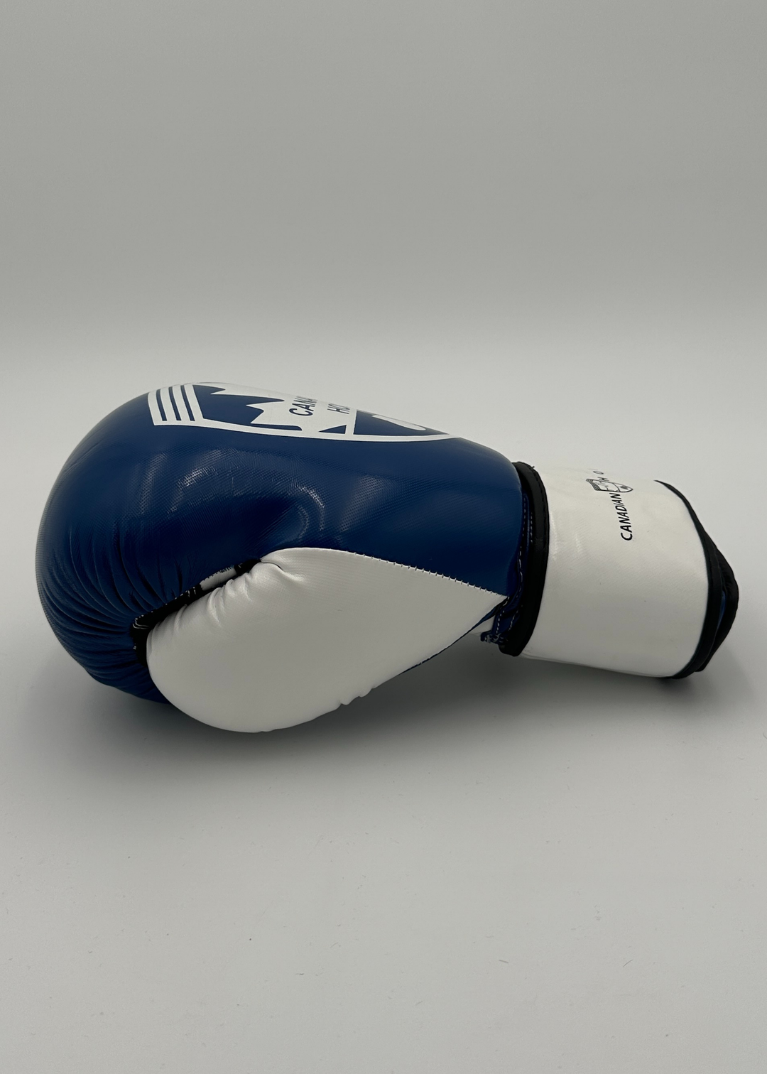 G2000 BOXING GLOVES - BLUE/WHITE