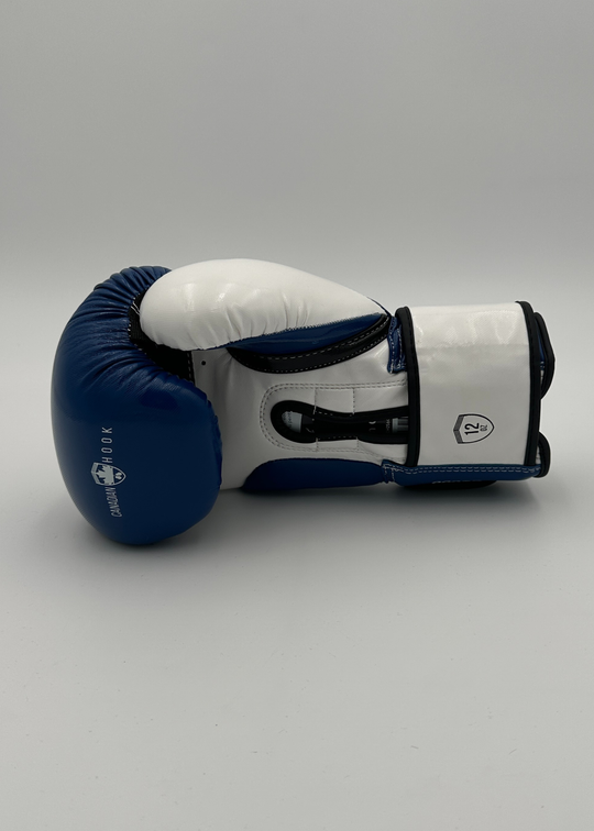 G2000 BOXING GLOVES - BLUE/WHITE