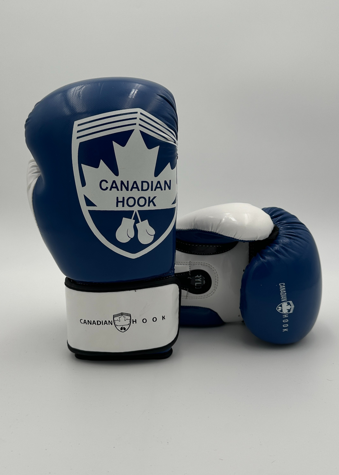 G2000 BOXING GLOVES - BLUE/WHITE