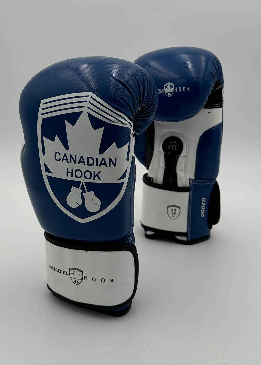 G2000 BOXING GLOVES - BLUE/WHITE