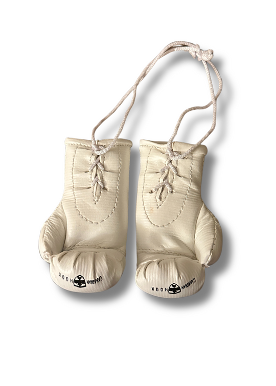 Canadian Hook Miniature Boxing Gloves