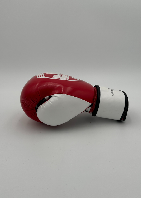 G2000 BOXING GLOVES - RED/WHITE