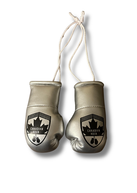 Canadian Hook Miniature Boxing Gloves