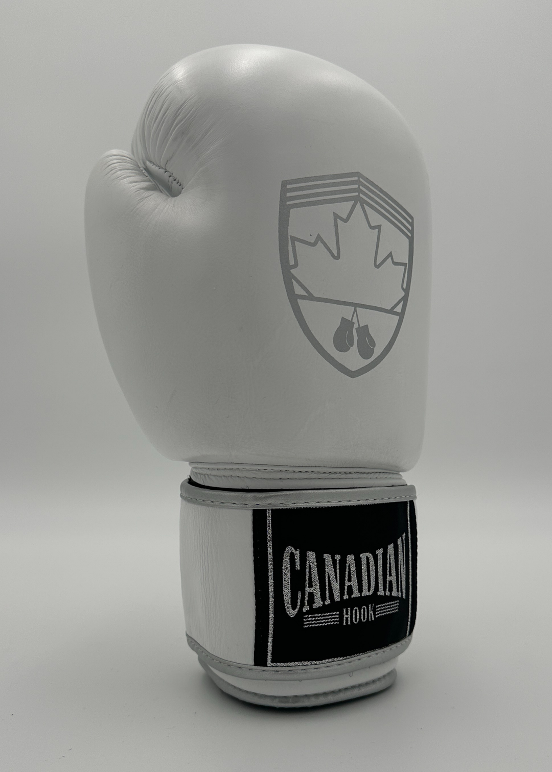 G10000 BOXING GLOVES - WHITE