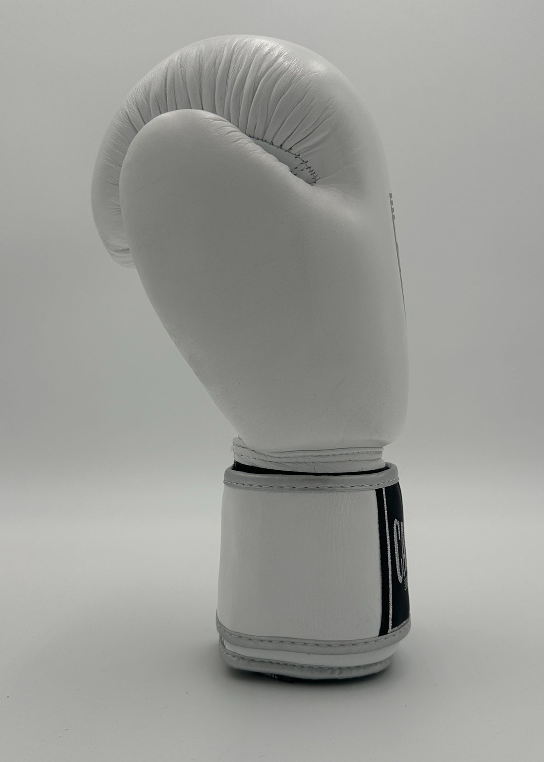 G10000 BOXING GLOVES - WHITE