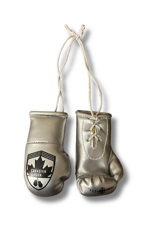 Canadian Hook Miniature Boxing Gloves