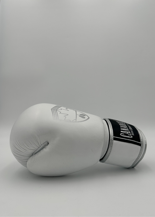 G10000 BOXING GLOVES - WHITE