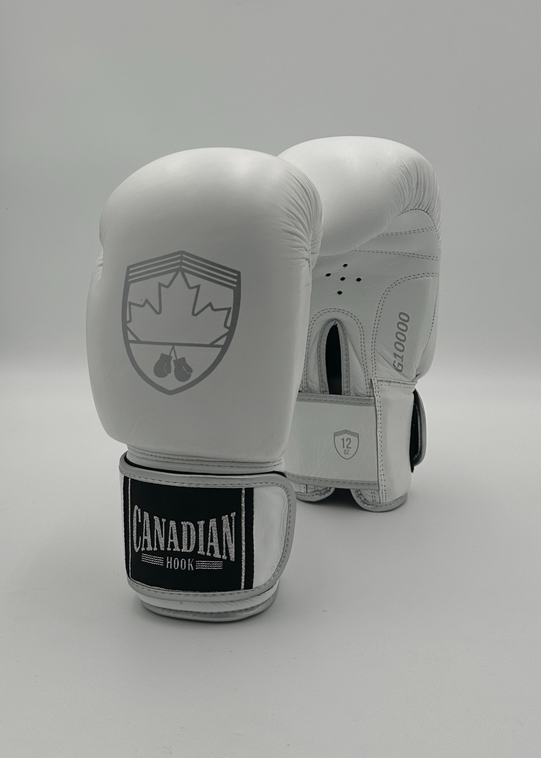 G10000 BOXING GLOVES - WHITE