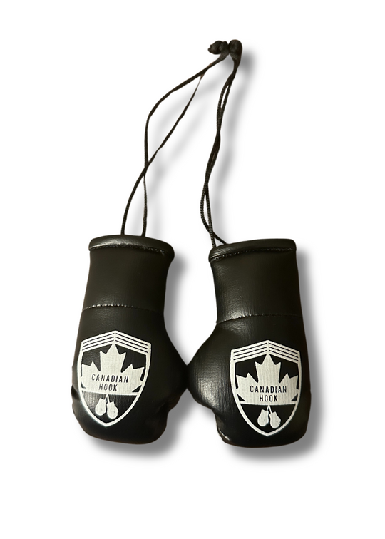 Canadian Hook Miniature Boxing Gloves