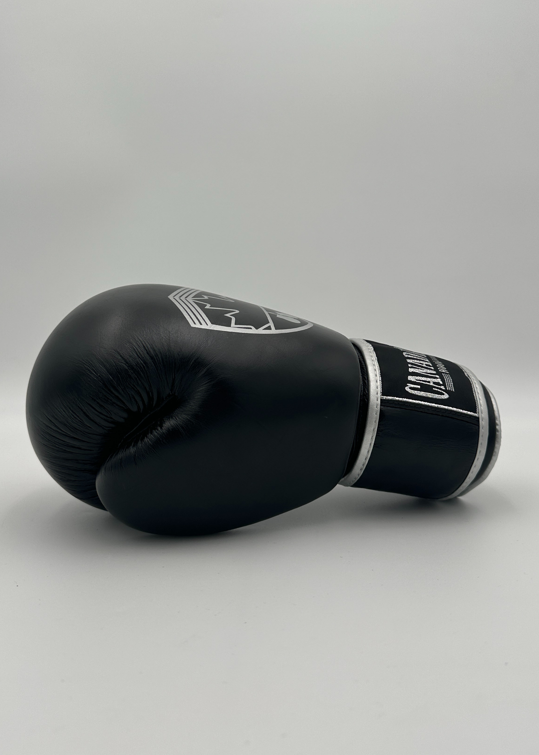 G10000 BOXING GLOVES - BLACK