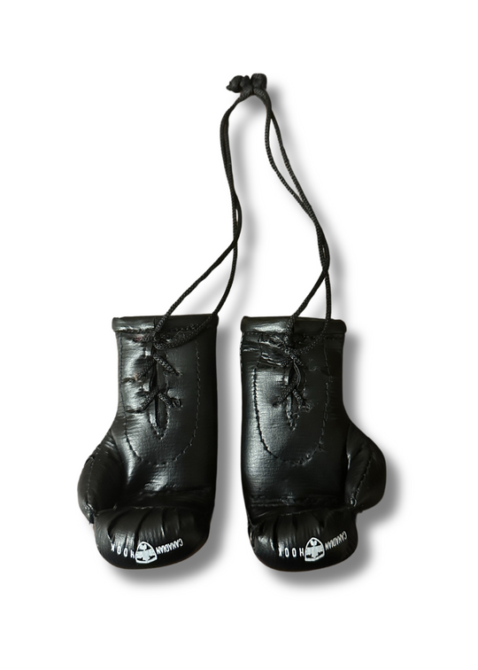 Canadian Hook Miniature Boxing Gloves