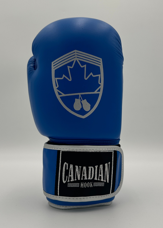 G10000 BOXING GLOVES - BLUE