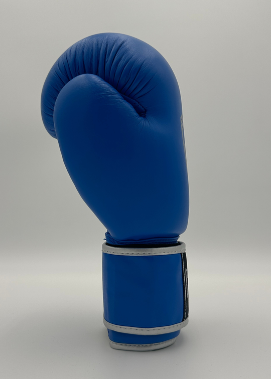 G10000 BOXING GLOVES - BLUE