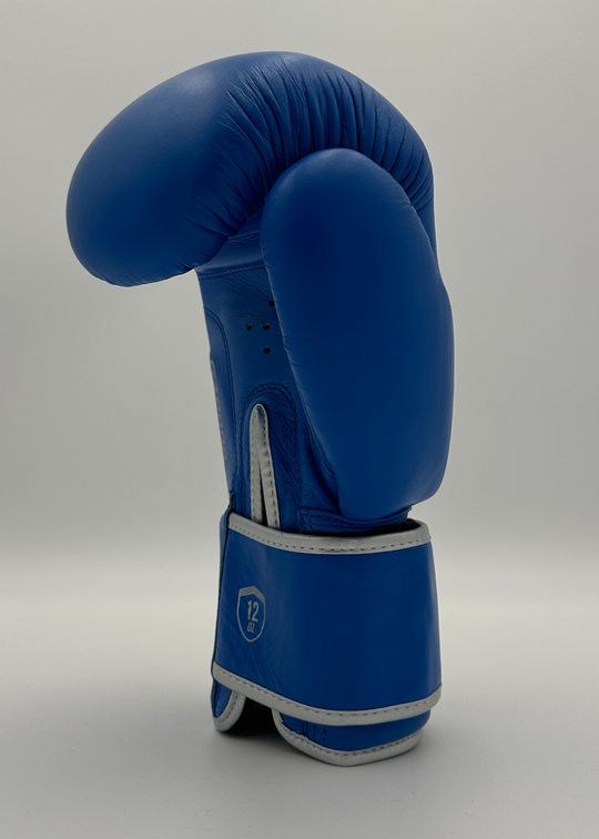 G10000 BOXING GLOVES - BLUE