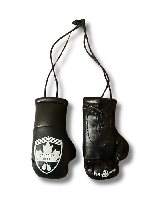 Canadian Hook Miniature Boxing Gloves