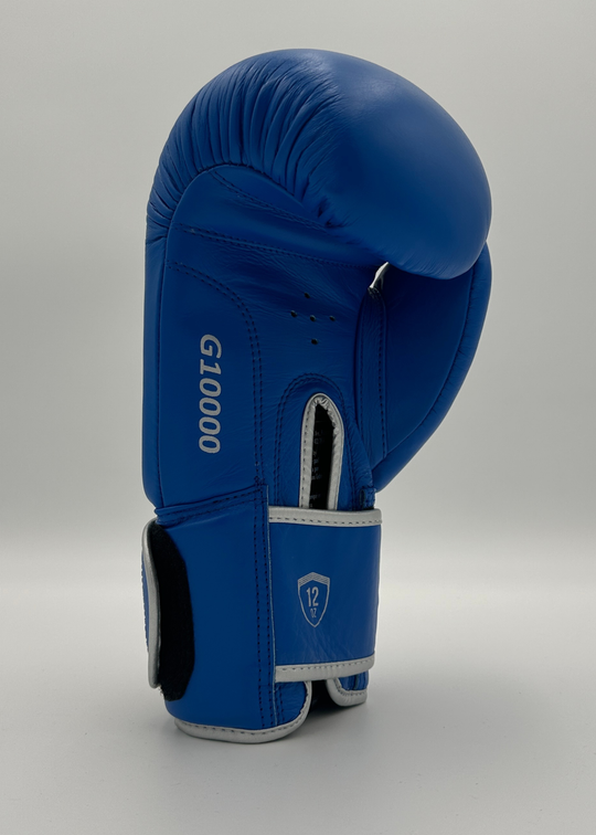 G10000 BOXING GLOVES - BLUE