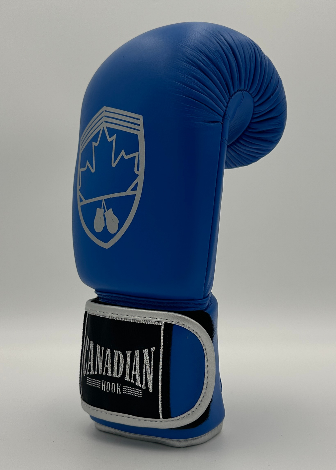 G10000 BOXING GLOVES - BLUE