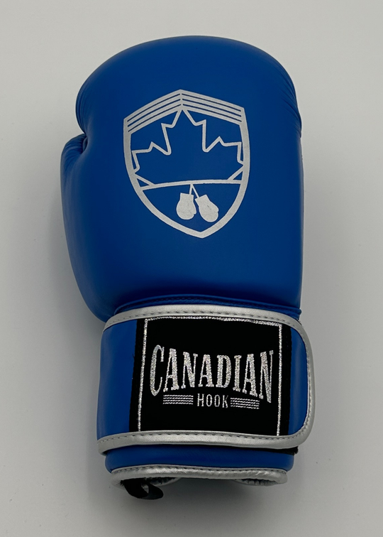 G10000 BOXING GLOVES - BLUE