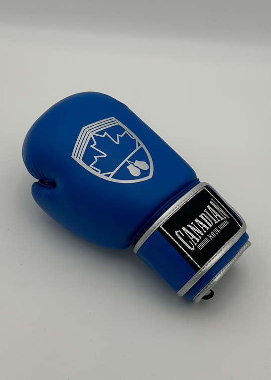 G10000 BOXING GLOVES - BLUE