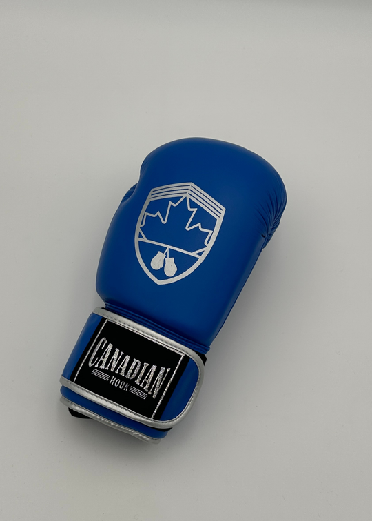 G10000 BOXING GLOVES - BLUE