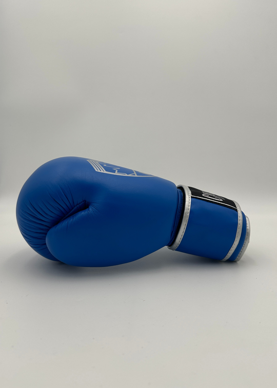 G10000 BOXING GLOVES - BLUE