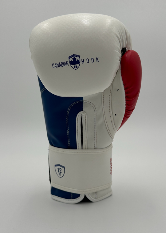 G3000 BOXING GLOVES - WHITE/RED/BLUE