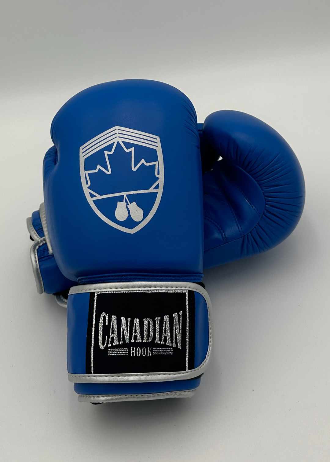 G10000 BOXING GLOVES - BLUE