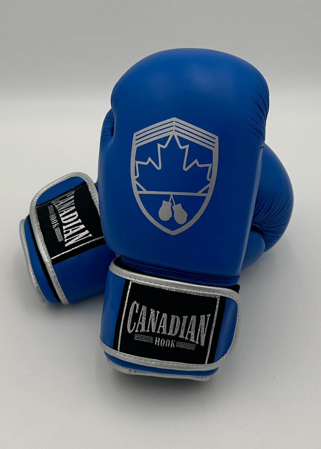 G10000 BOXING GLOVES - BLUE