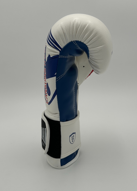 G3000 BOXING GLOVES - WHITE/RED/BLUE