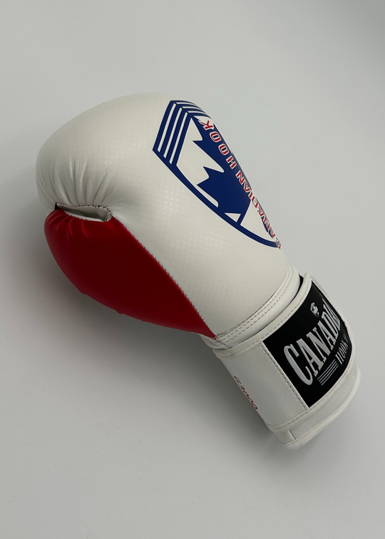 G3000 BOXING GLOVES - WHITE/RED/BLUE