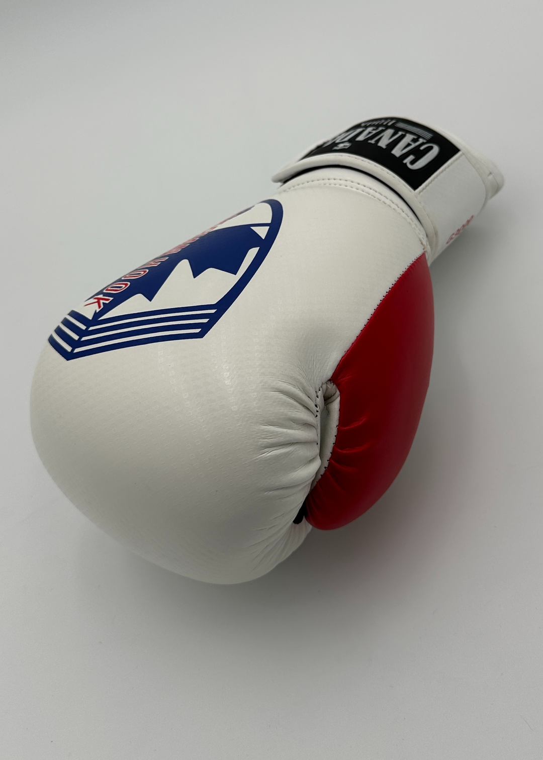 G3000 BOXING GLOVES - WHITE/RED/BLUE