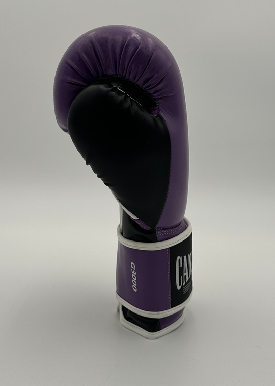 G3000 BOXING GLOVES - PURPLE/BLACK