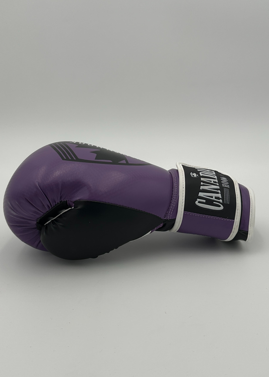 G3000 BOXING GLOVES - PURPLE/BLACK