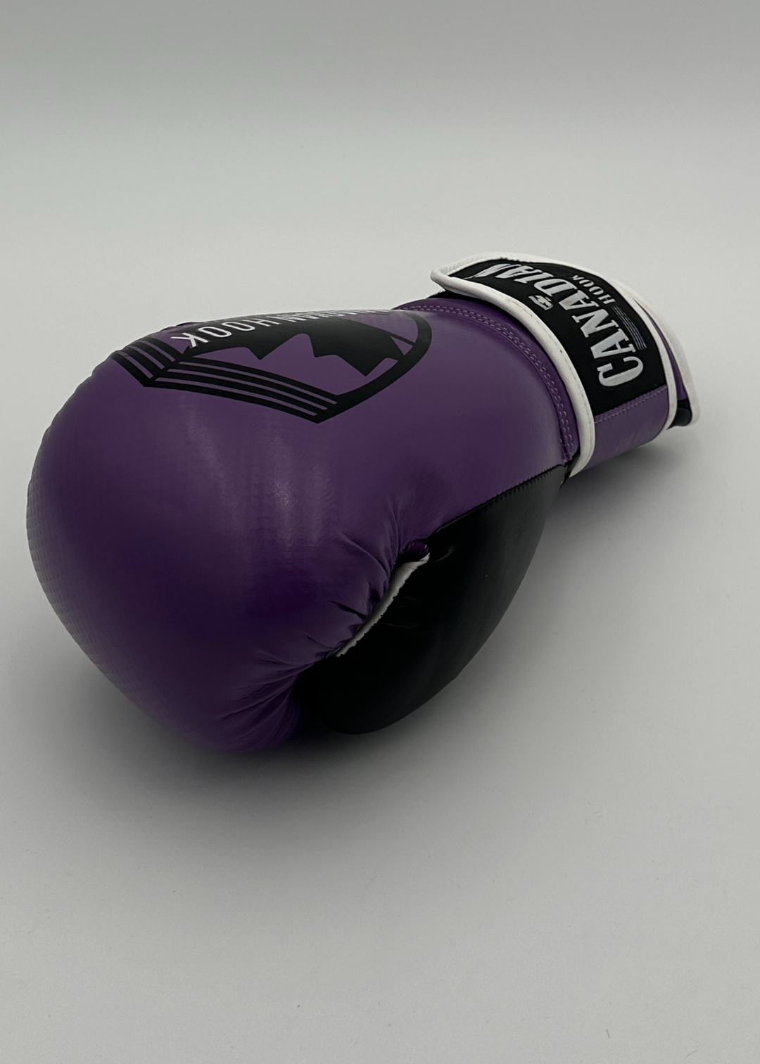 G3000 BOXING GLOVES - PURPLE/BLACK