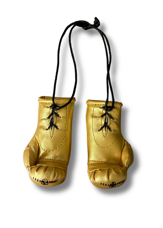 Canadian Hook Miniature Boxing Gloves