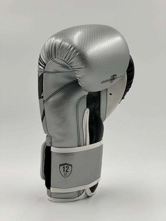 G3000 BOXING GLOVES - SILVER/BLACK