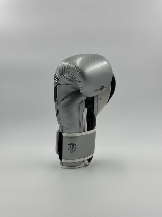 G3000 BOXING GLOVES - SILVER/BLACK