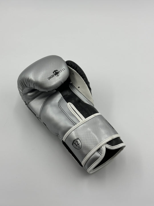 G3000 BOXING GLOVES - SILVER/BLACK